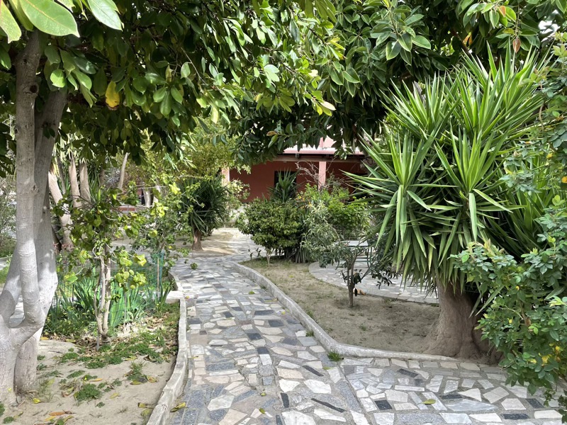 IMG_6302